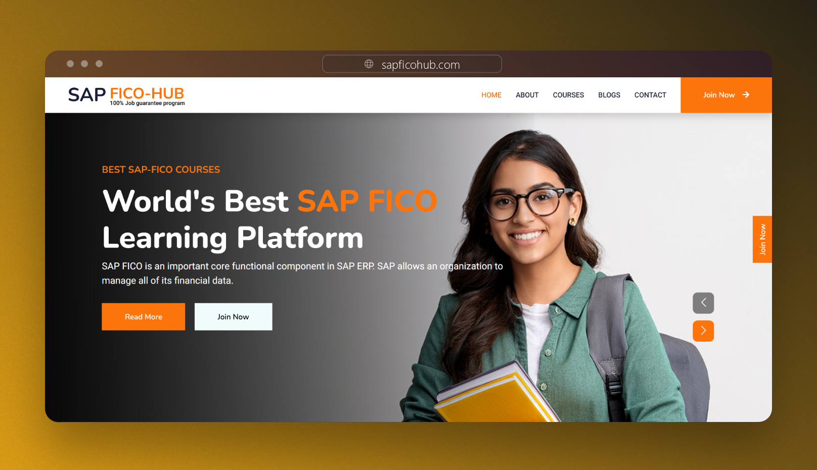 Screenshot of SAP FICO Hub - Website developed by Rahul Katari
